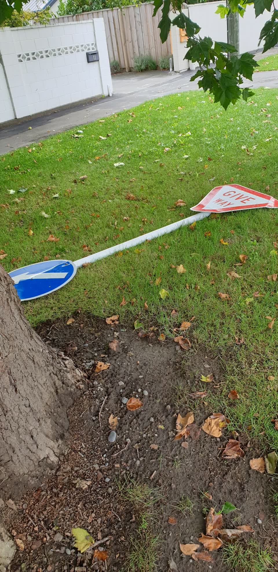 The photograph attached to this roading/streets report