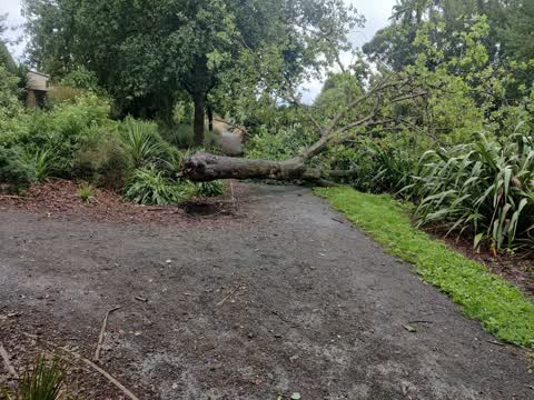 Parks — a report photo