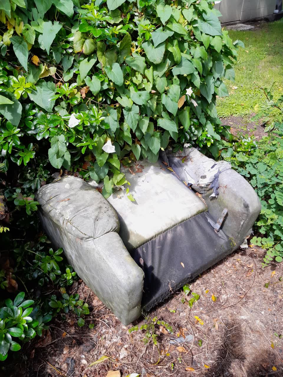 The photograph attached to this parks report