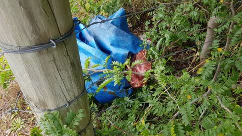 Rubbish/Recycling, a report photo