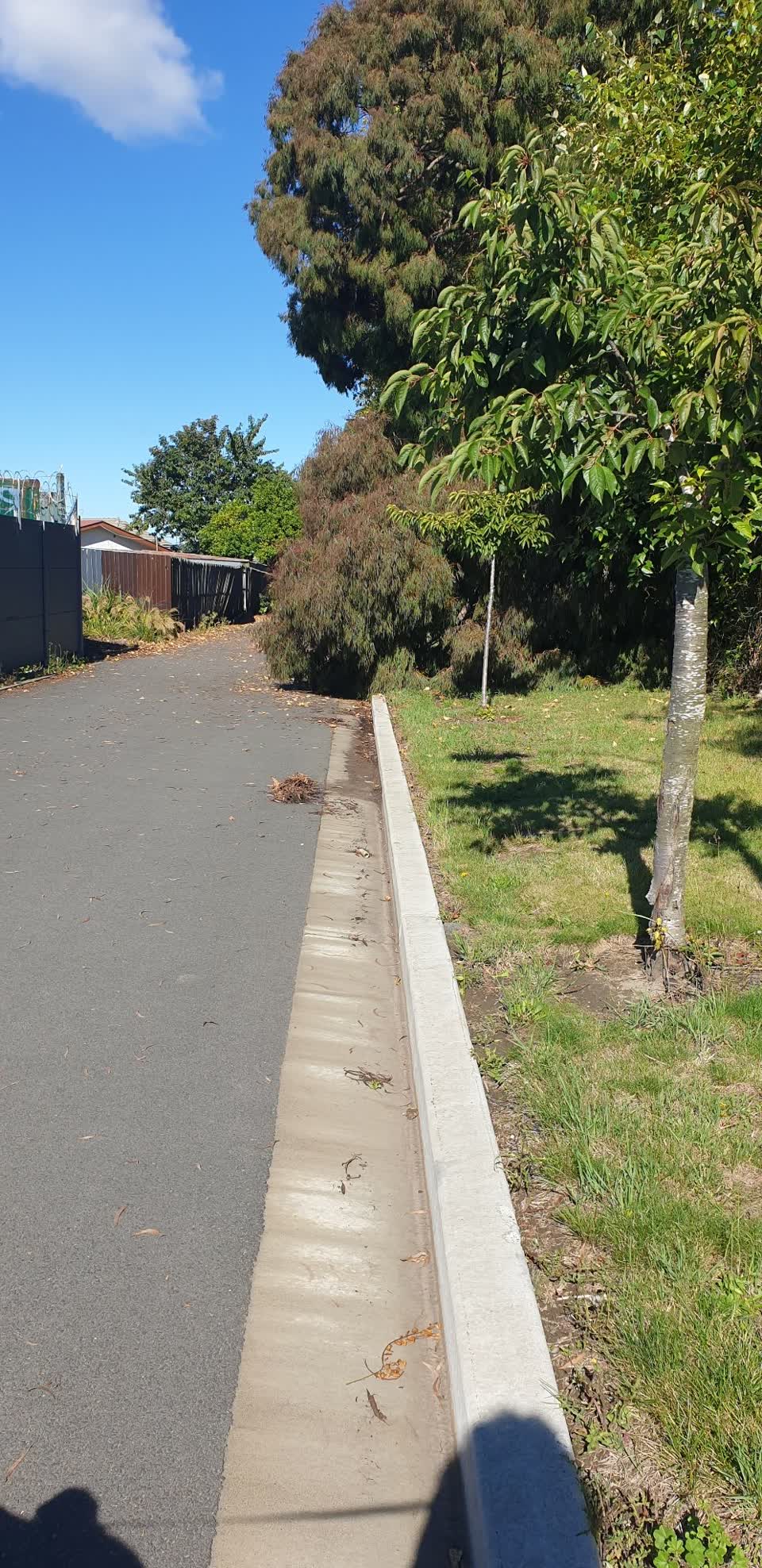 The photograph attached to this parks report