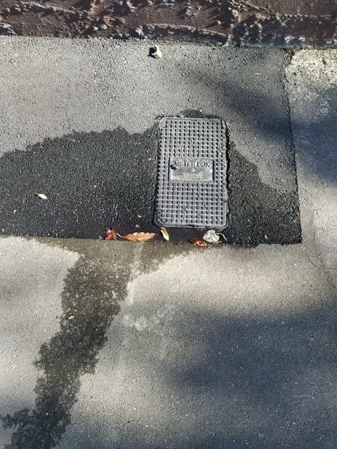 Water Leak, a report photo