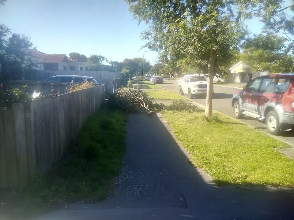 The photograph attached to this roading/streets report