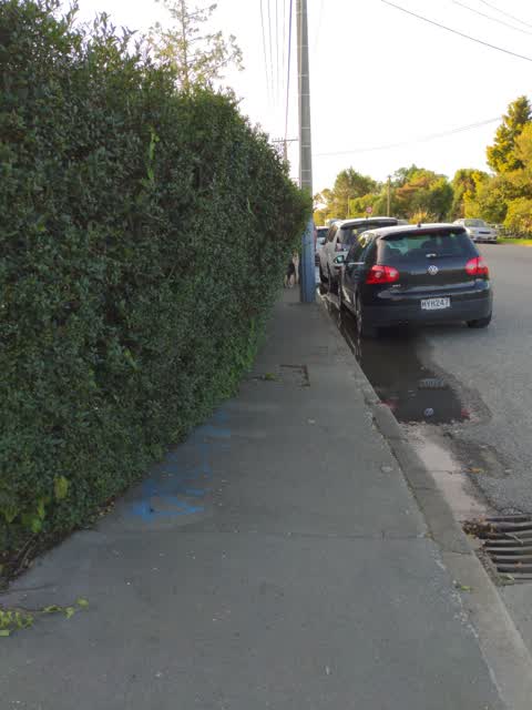Roading/Streets, a report photo