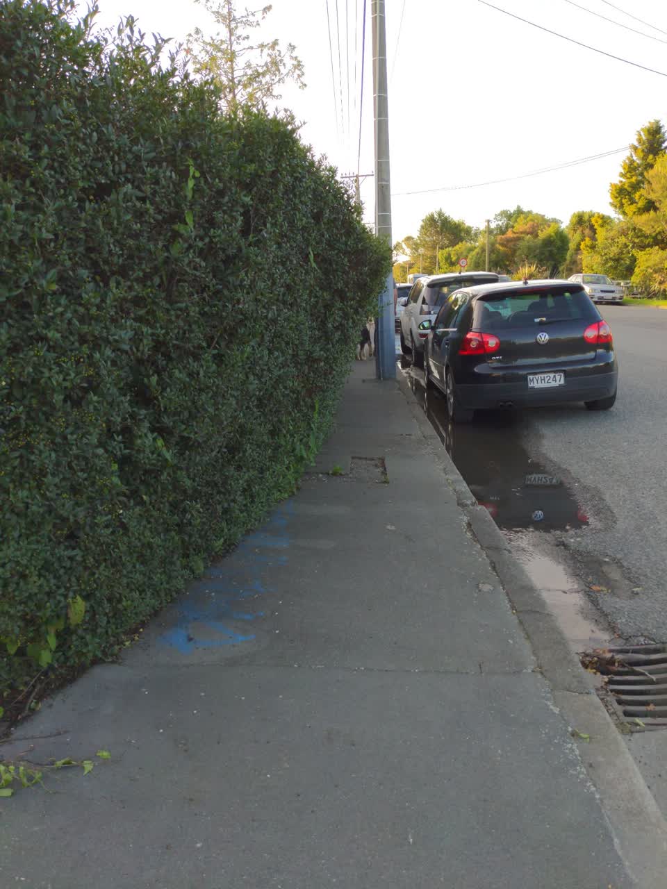 The photograph attached to this roading/streets report