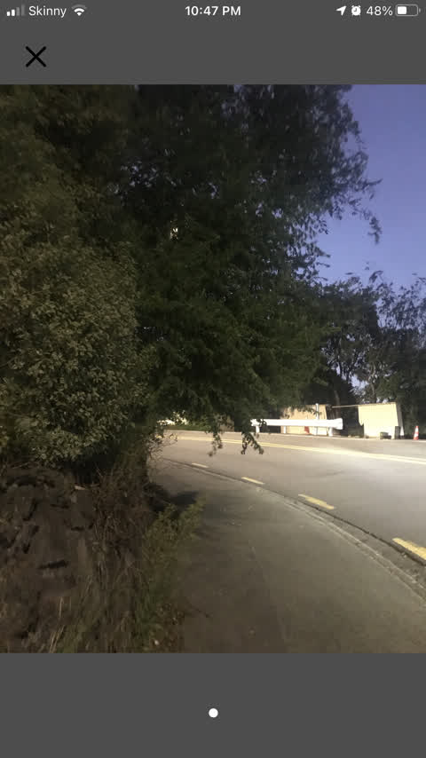 Roading/Streets, a report photo