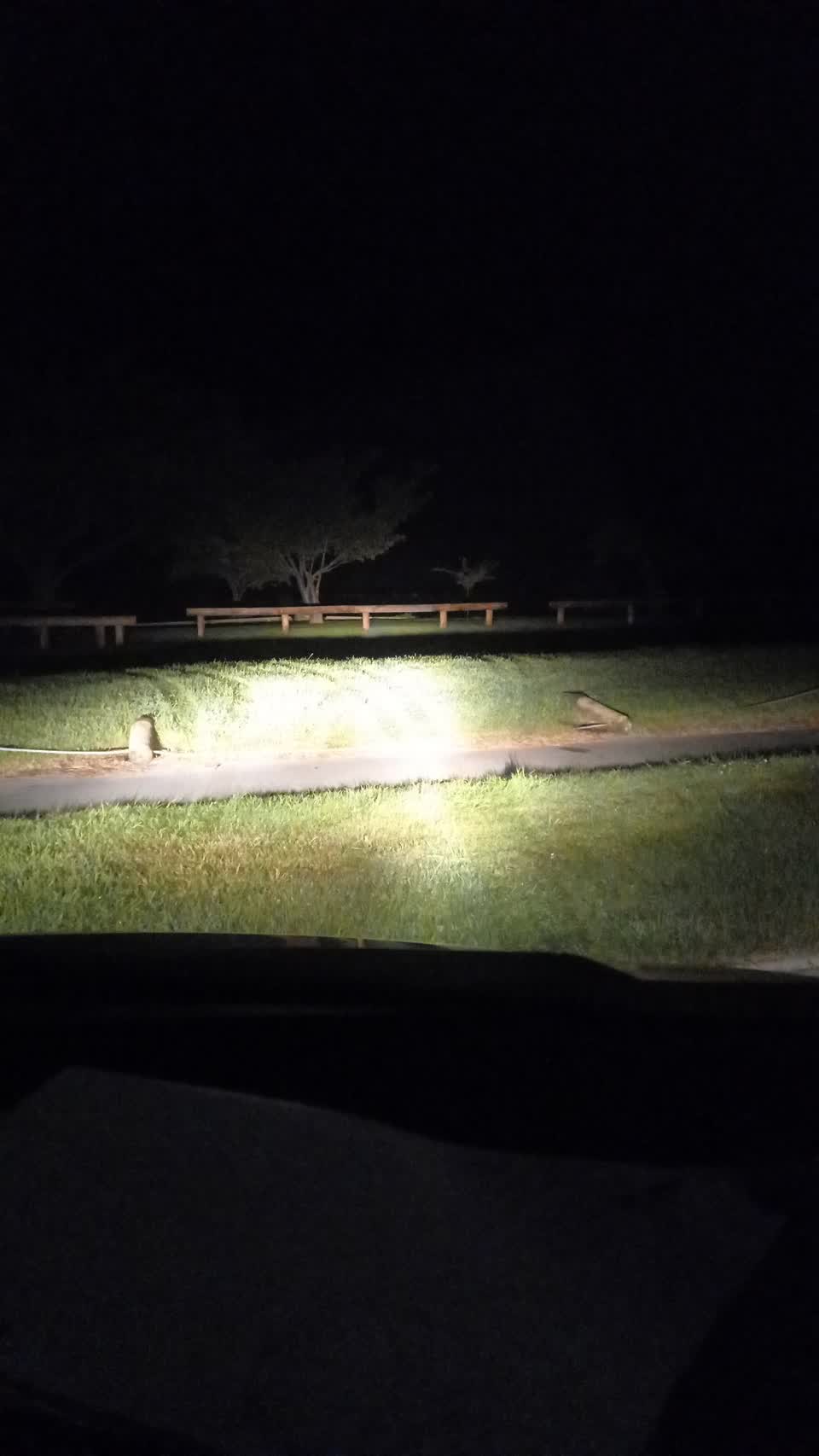 The photograph attached to this parks report