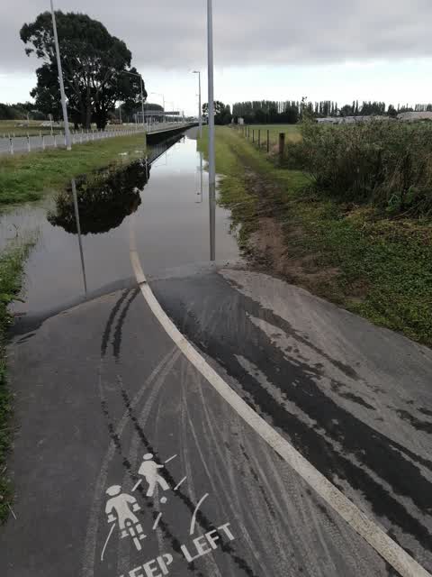 Roading/Streets, a report photo