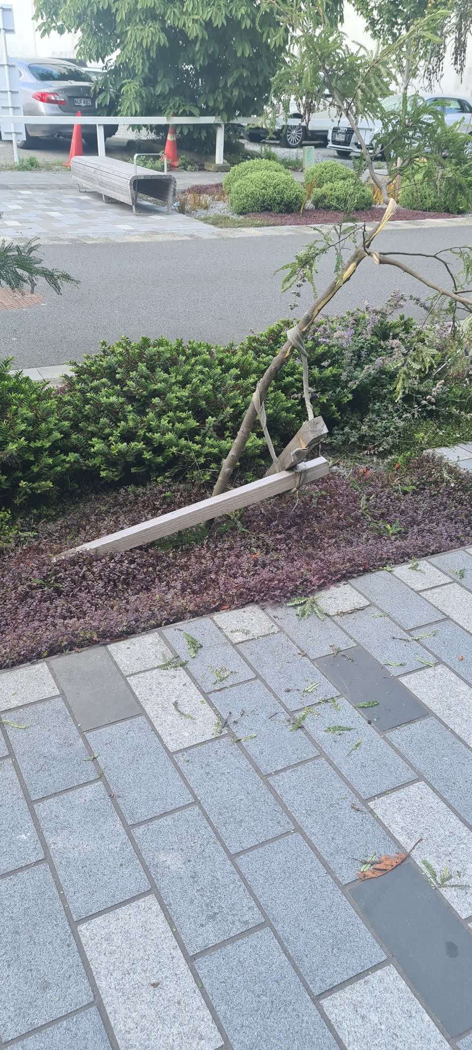 The photograph attached to this roading/streets report