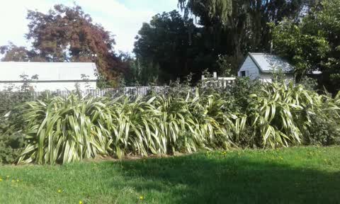 Parks, a report photo