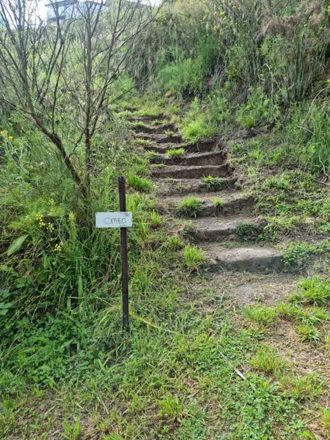 Roading/Streets, a report photo