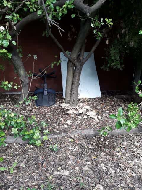 Rubbish/Recycling, a report photo