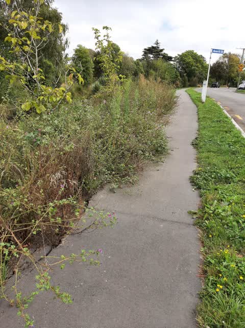 Roading/Streets, a report photo