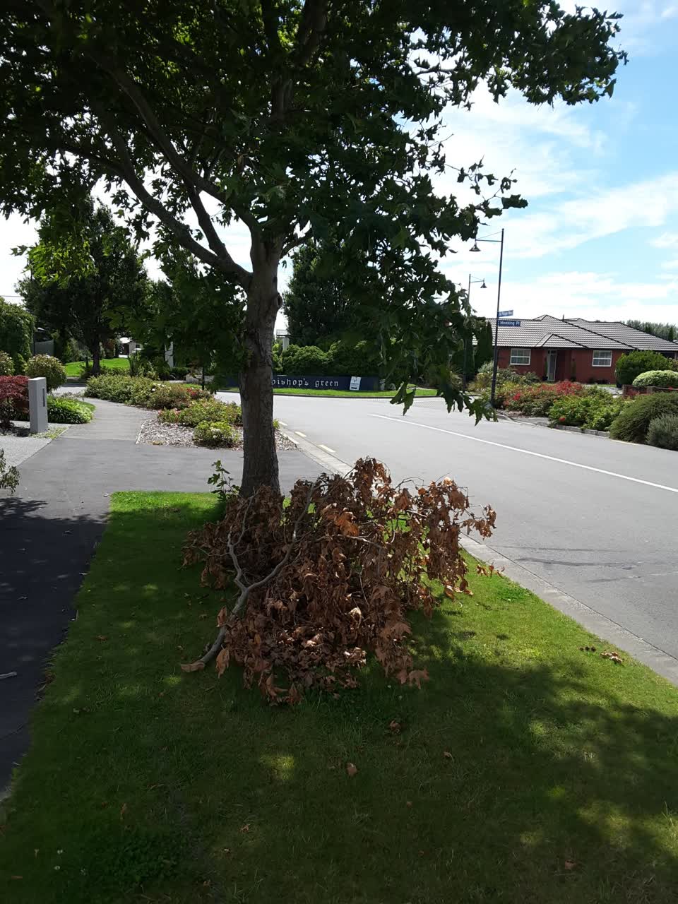 The photograph attached to this roading/streets report