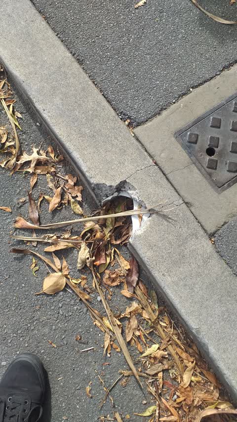 Roading/Streets, a report photo