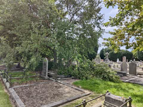 Parks, a report photo