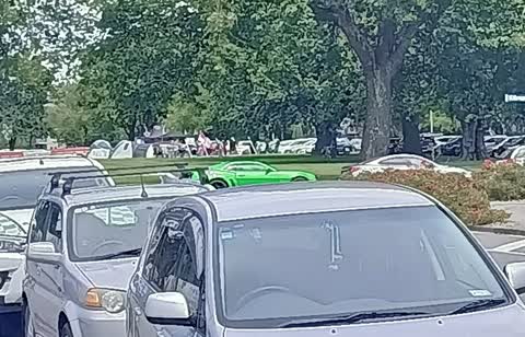 Parks — a report photo