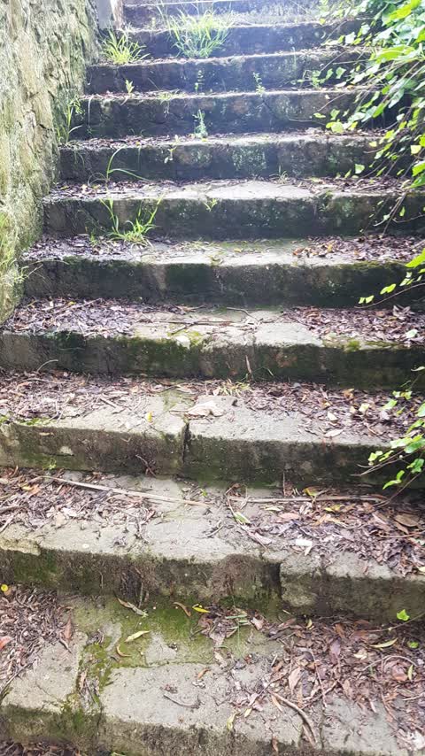 Roading/Streets, a report photo