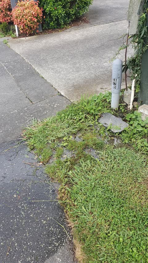 Water Leak, a report photo