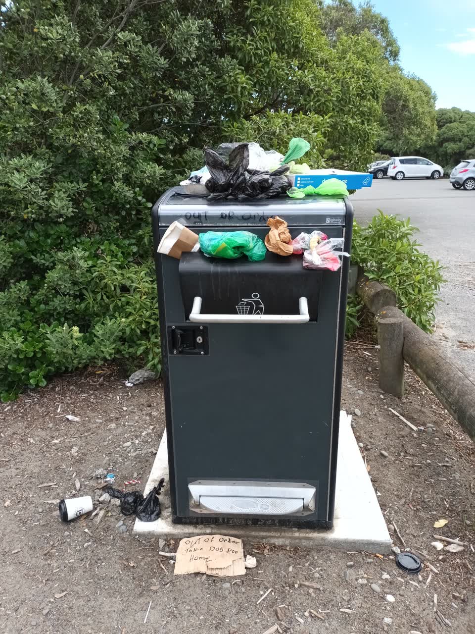 The photograph attached to this parks report