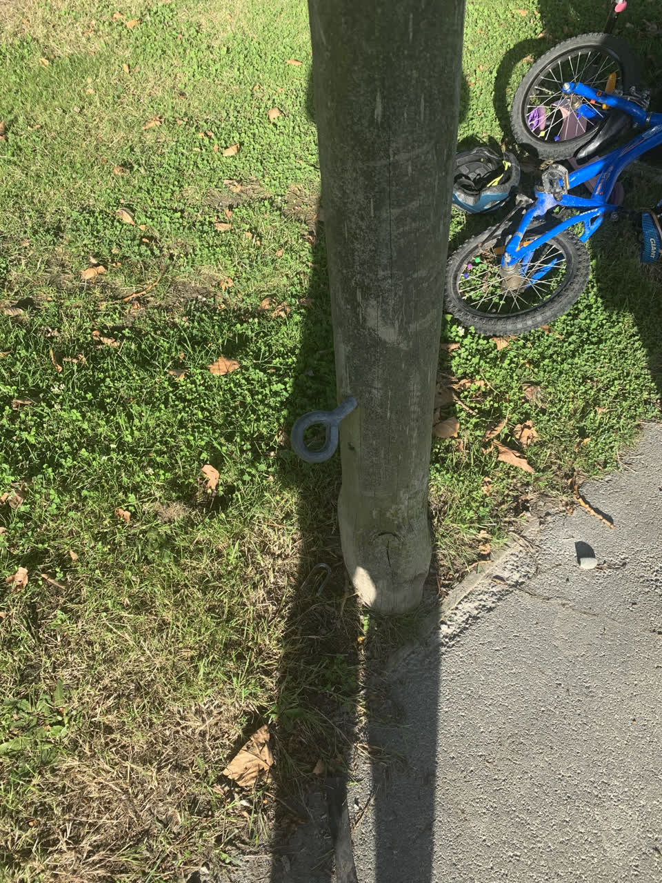The photograph attached to this parks report