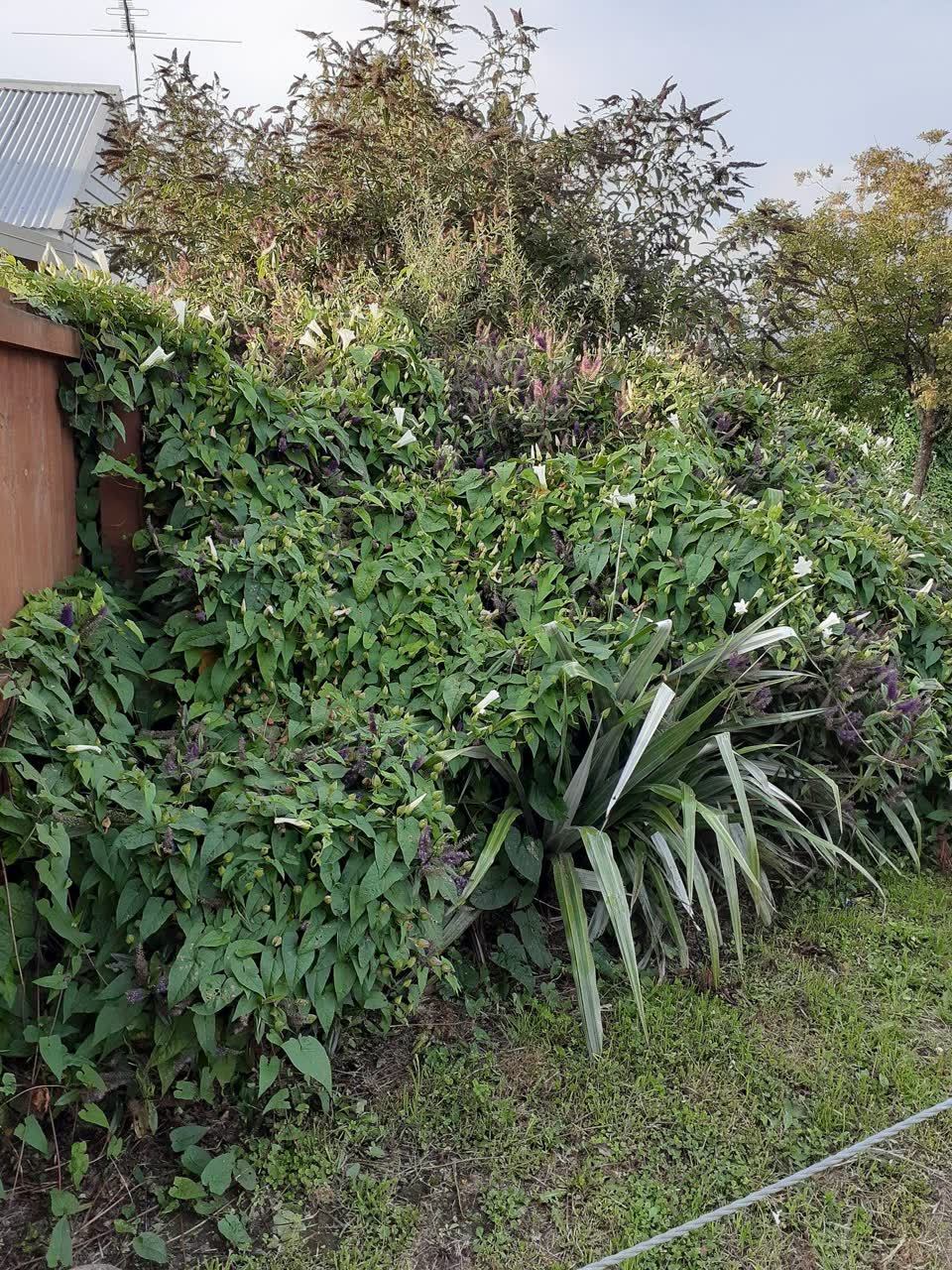 The photograph attached to this parks report