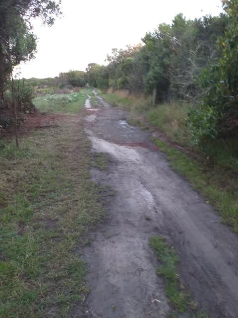 Parks, a report photo