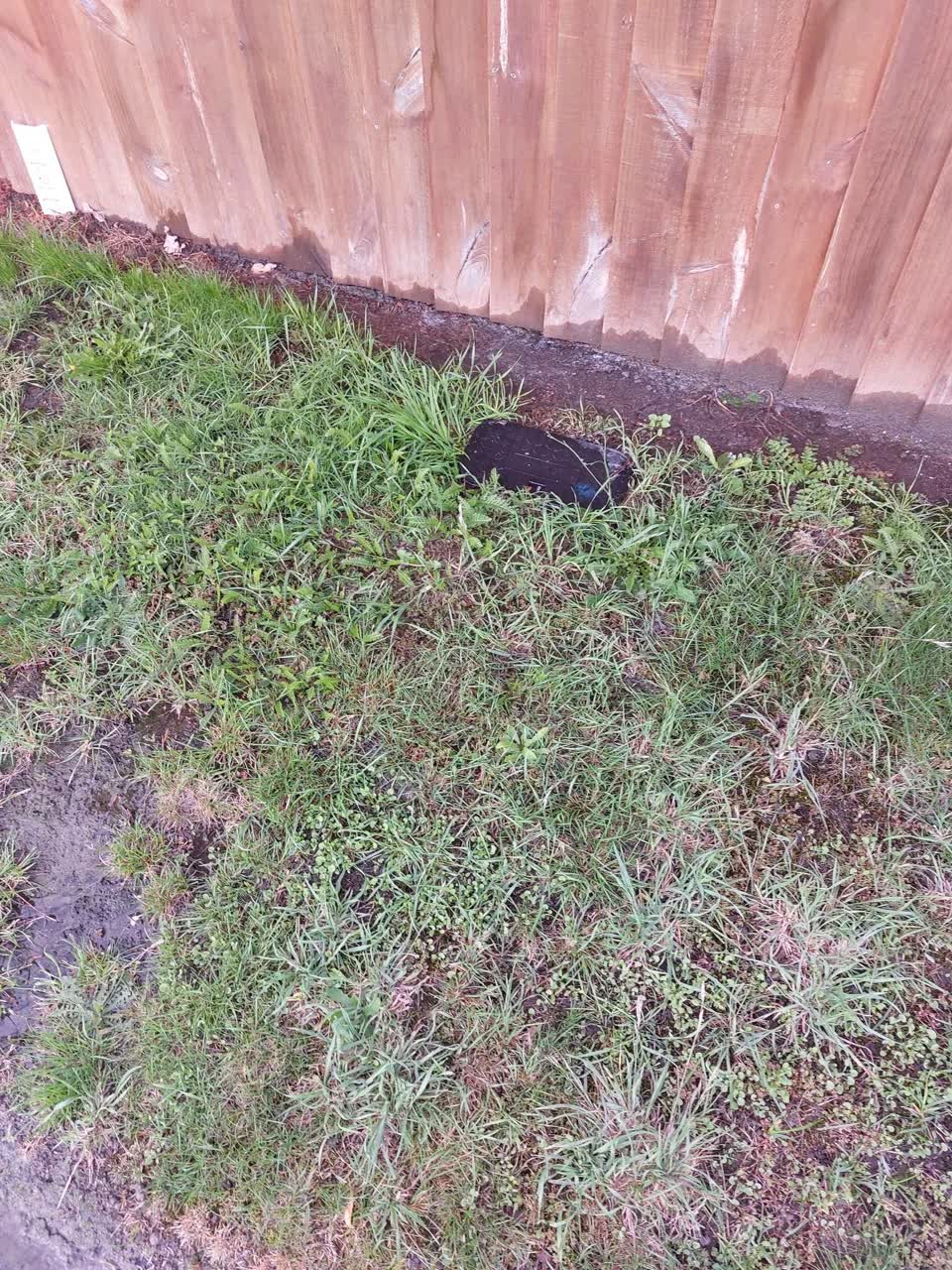 The photograph attached to this water leak report