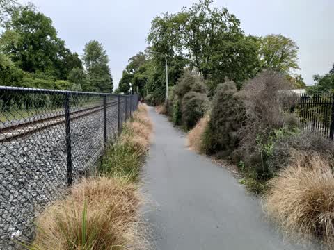 Roading/Streets, a report photo