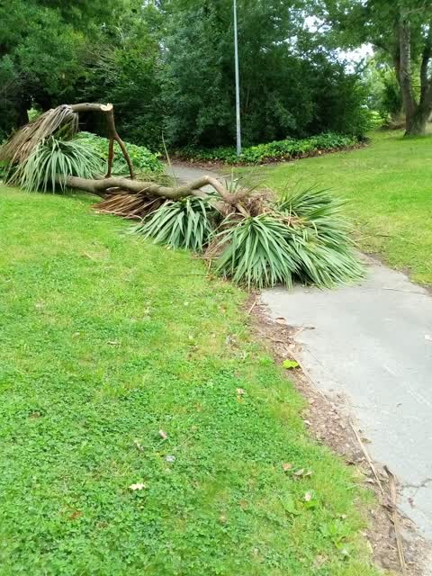 Roading/Streets, a report photo