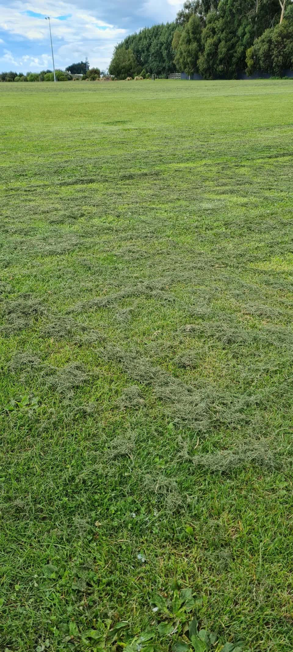 The photograph attached to this parks report