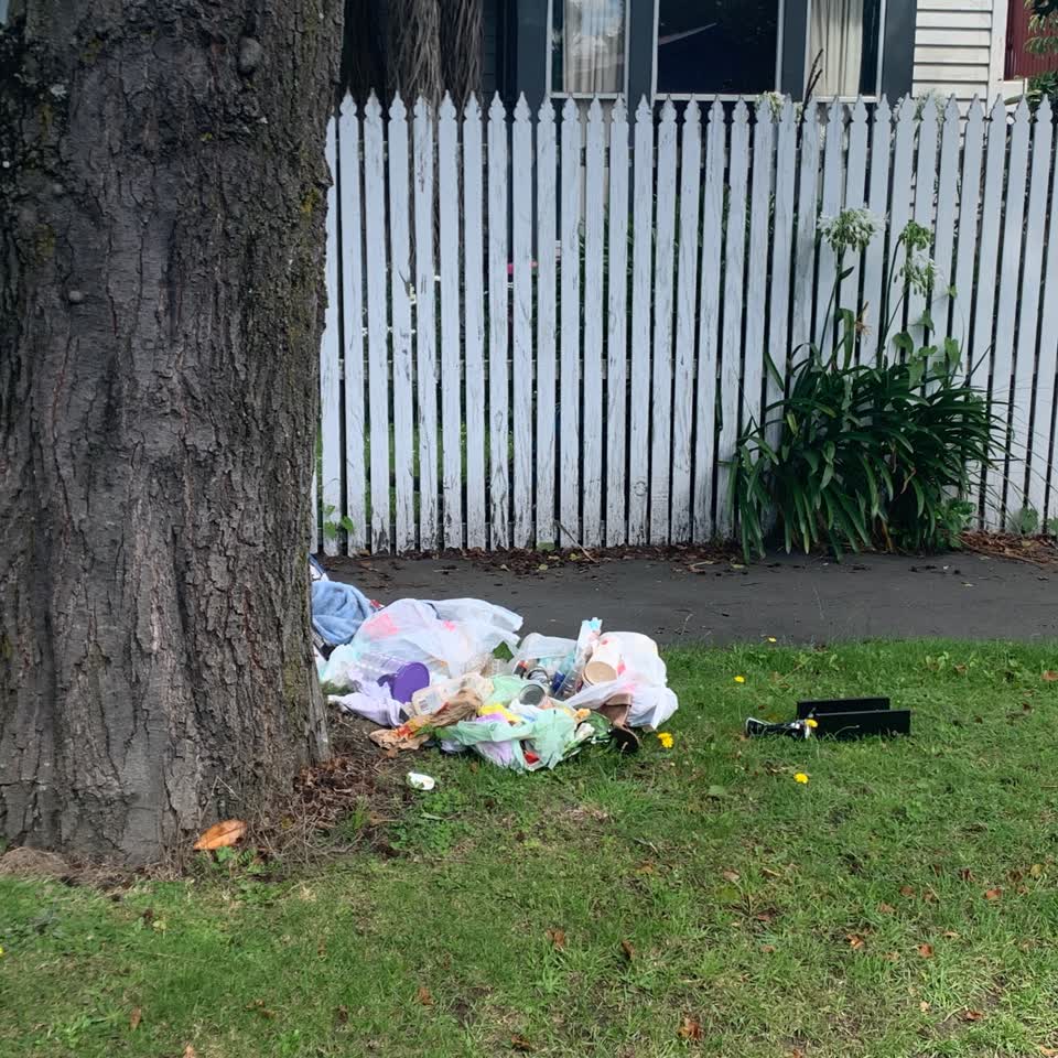 The photograph attached to this rubbish/recycling report