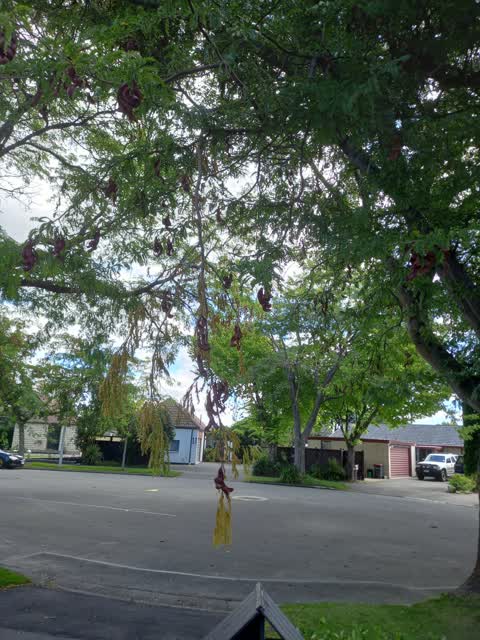 Roading/Streets, a report photo