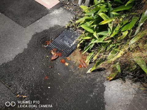 Water Leak, a report photo