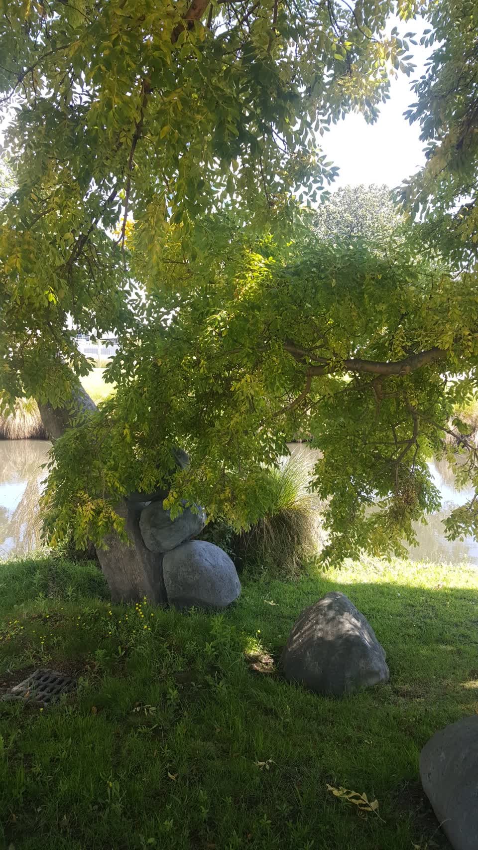 The photograph attached to this parks report