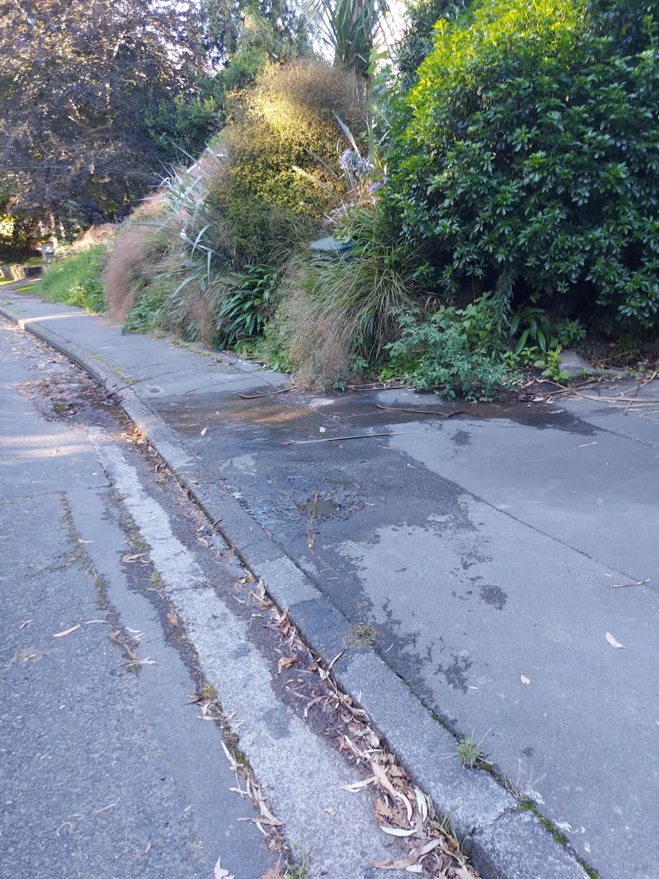 The photograph attached to this water leak report