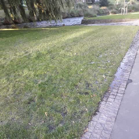 Water Leak, a report photo