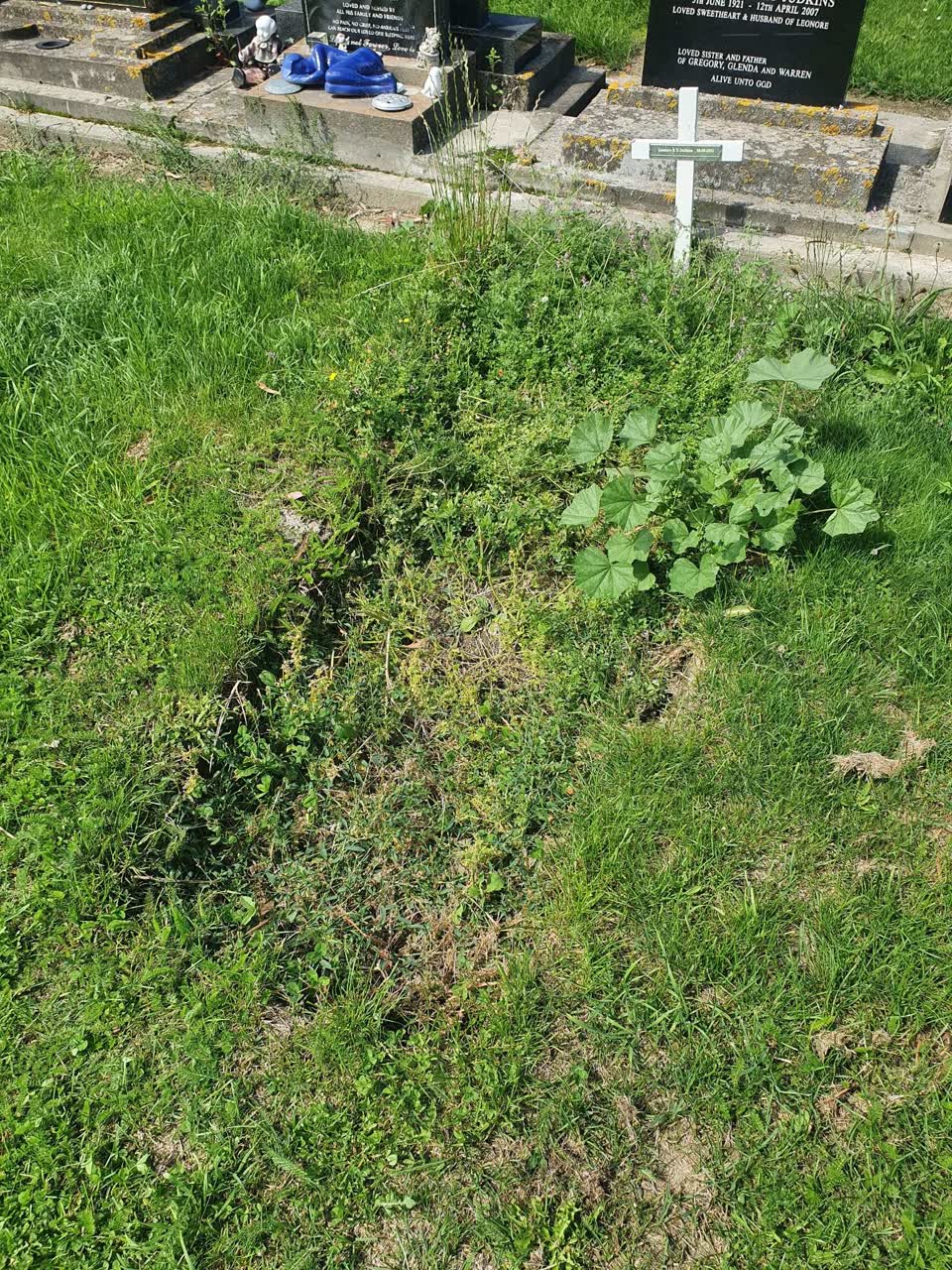 The photograph attached to this parks report