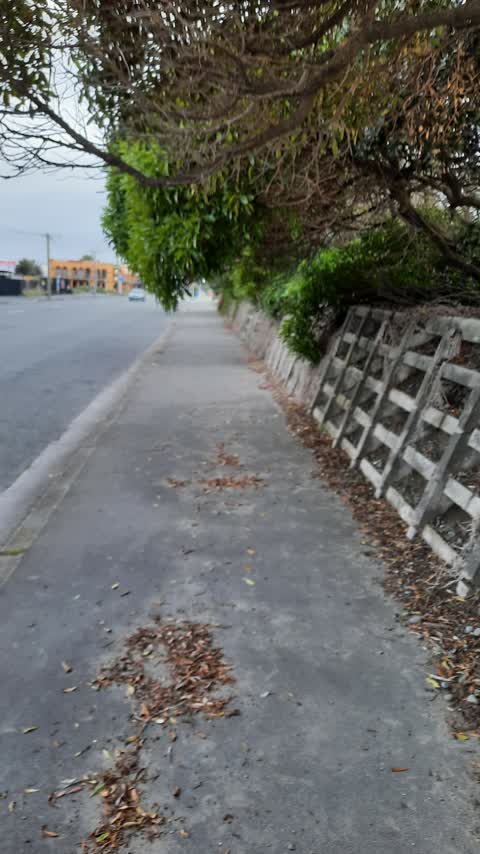 Parks, a report photo