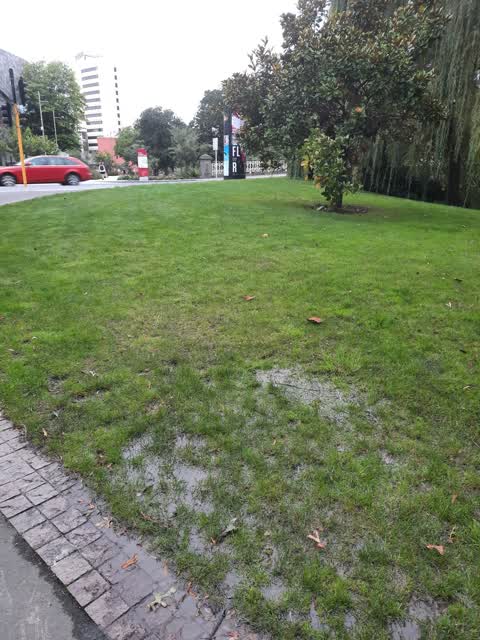 Water Leak, a report photo