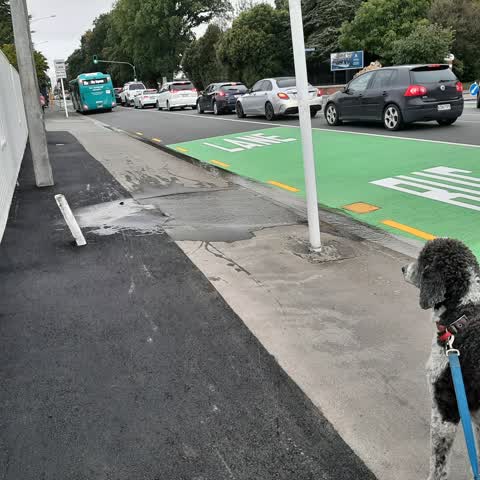 Water Leak, a report photo