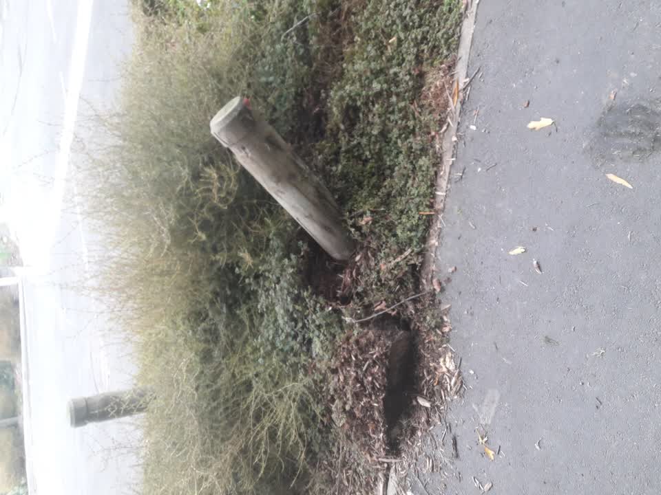 The photograph attached to this roading/streets report