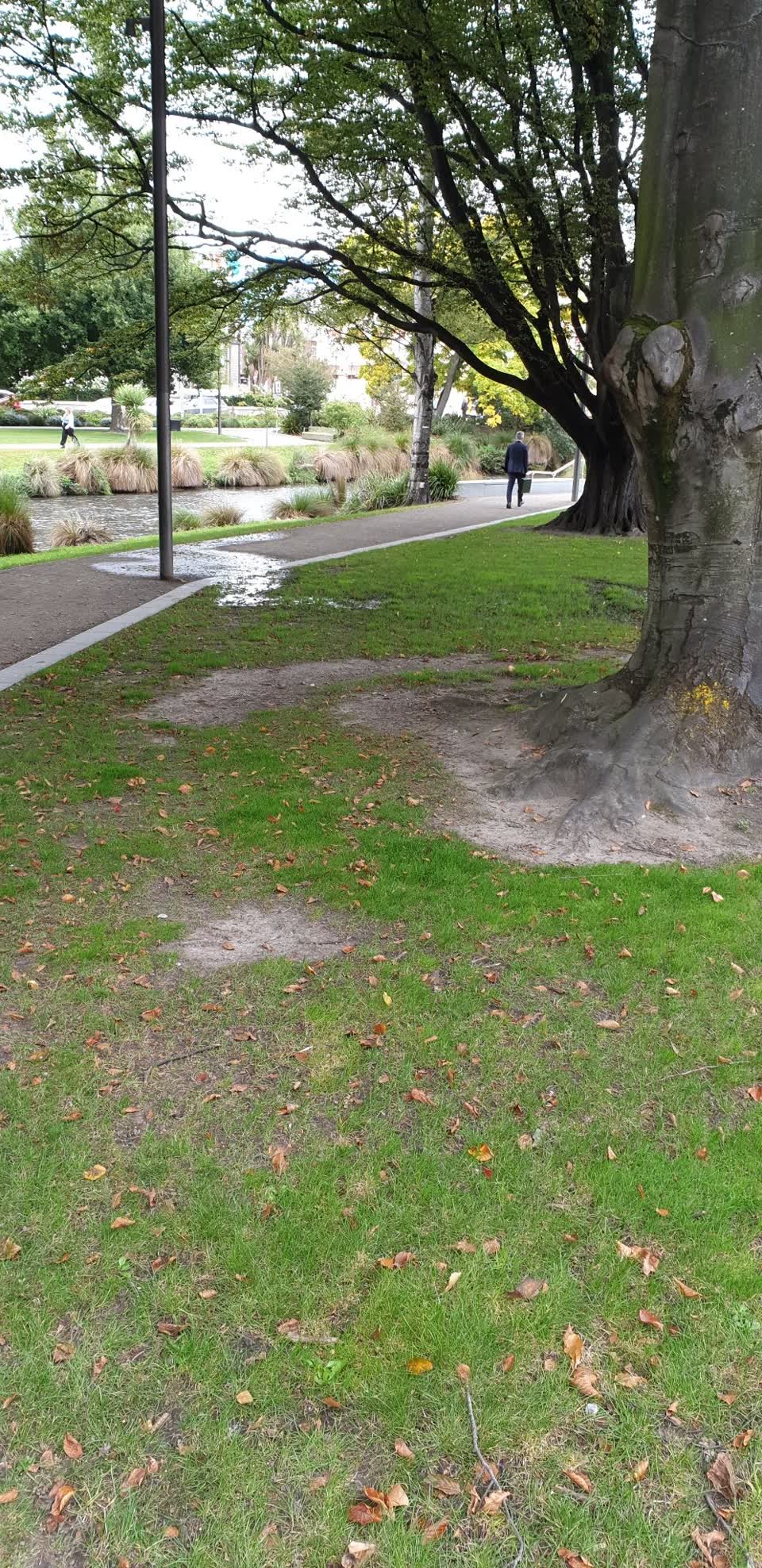 The photograph attached to this water leak report