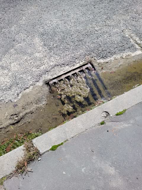 Wastewater/Stormwater, a report photo