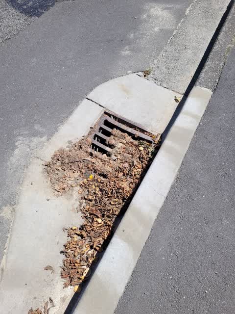 Wastewater/Stormwater, a report photo