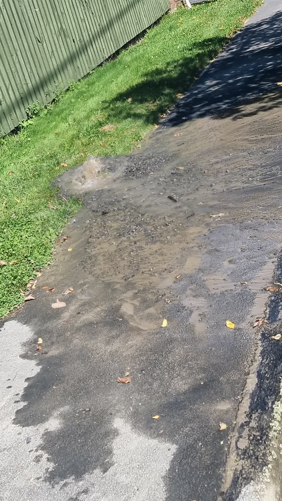 The photograph attached to this water leak report