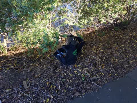 Rubbish/Recycling, a report photo