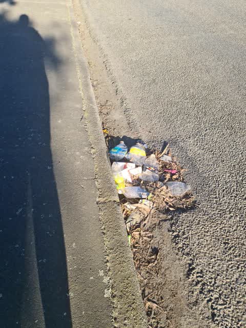Rubbish/Recycling, a report photo