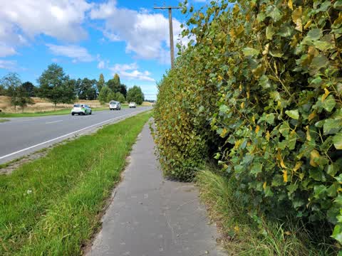 Roading/Streets, a report photo