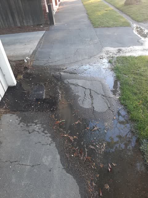 Water Leak, a report photo